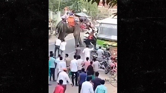 Слон-убийца! Индийский слон устроил жуткий беспредел на дороге! 🐘💥