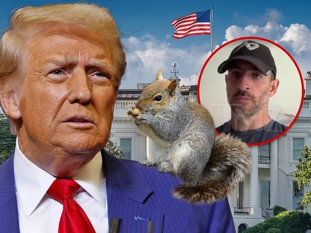 Смерть белки Пекан могла повлиять на победу Трампа!😱