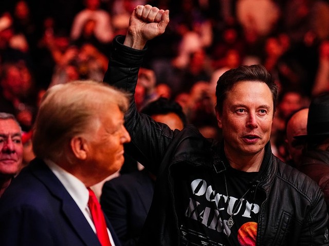 Трамп, Маск и Желейный Рулон на UFC 309: Скандальные сплетни! 💣💥