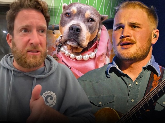 Забавные сплетни: Брайан выкинул собаку Портноя из гримерки! 🐶💥