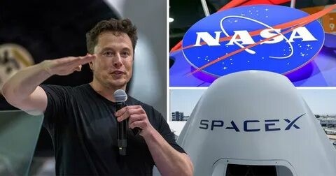 Илон Маск (Глава  Tesla  и  SpaceX)